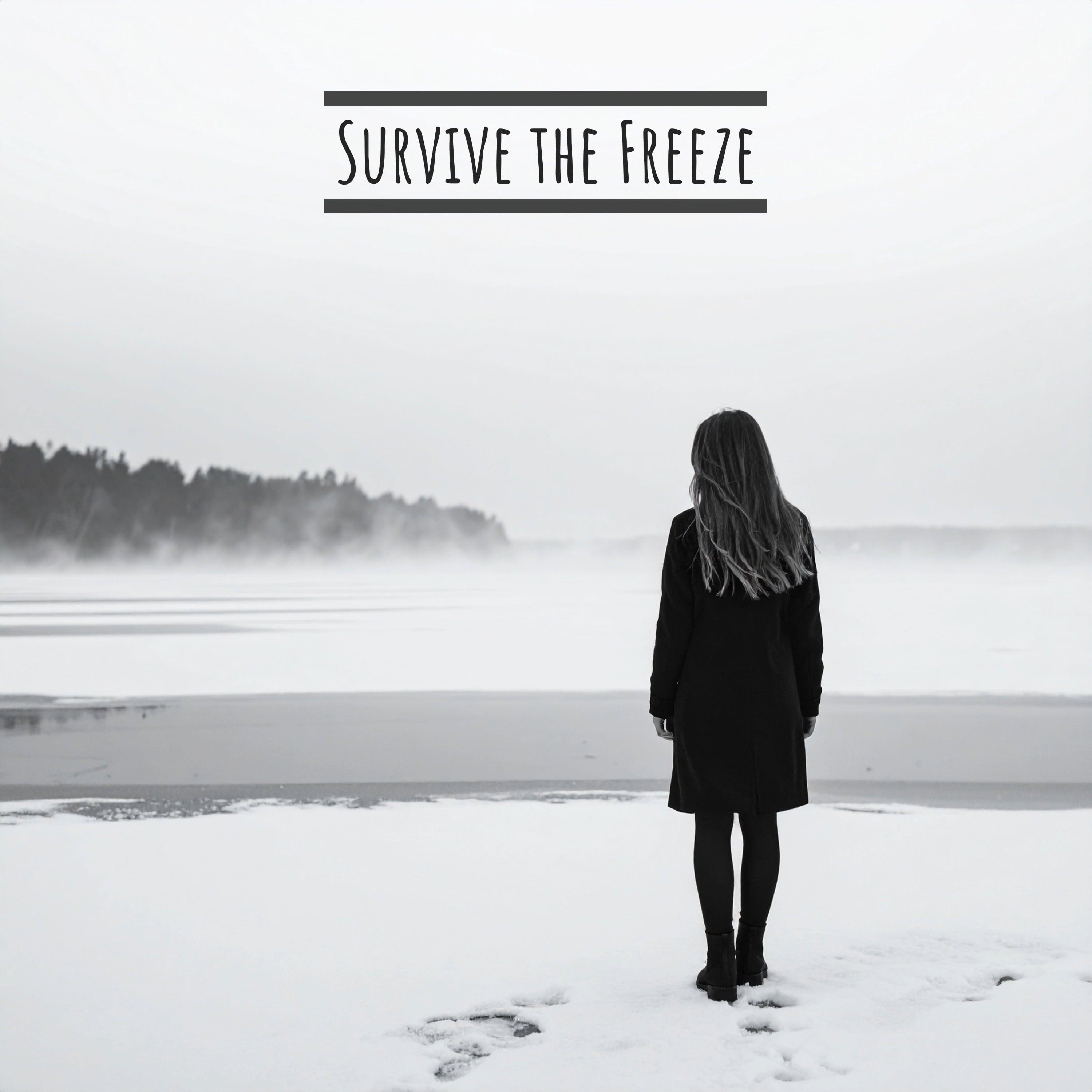 Survive the Freeze — cover art